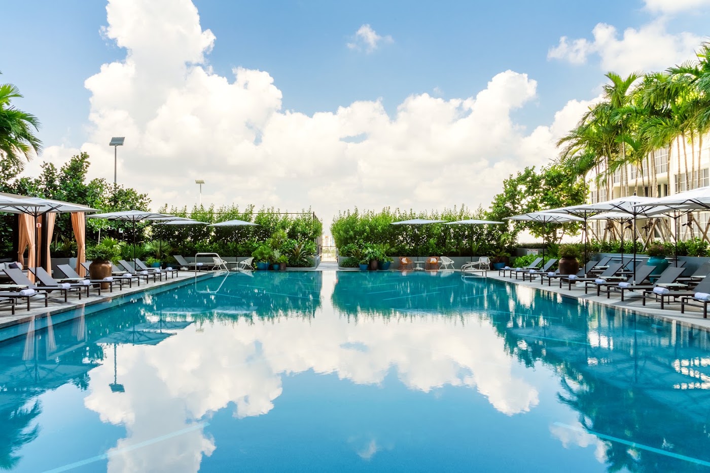 Hyde Suites Midtown Miami, dog-friendly hotel, photo 4