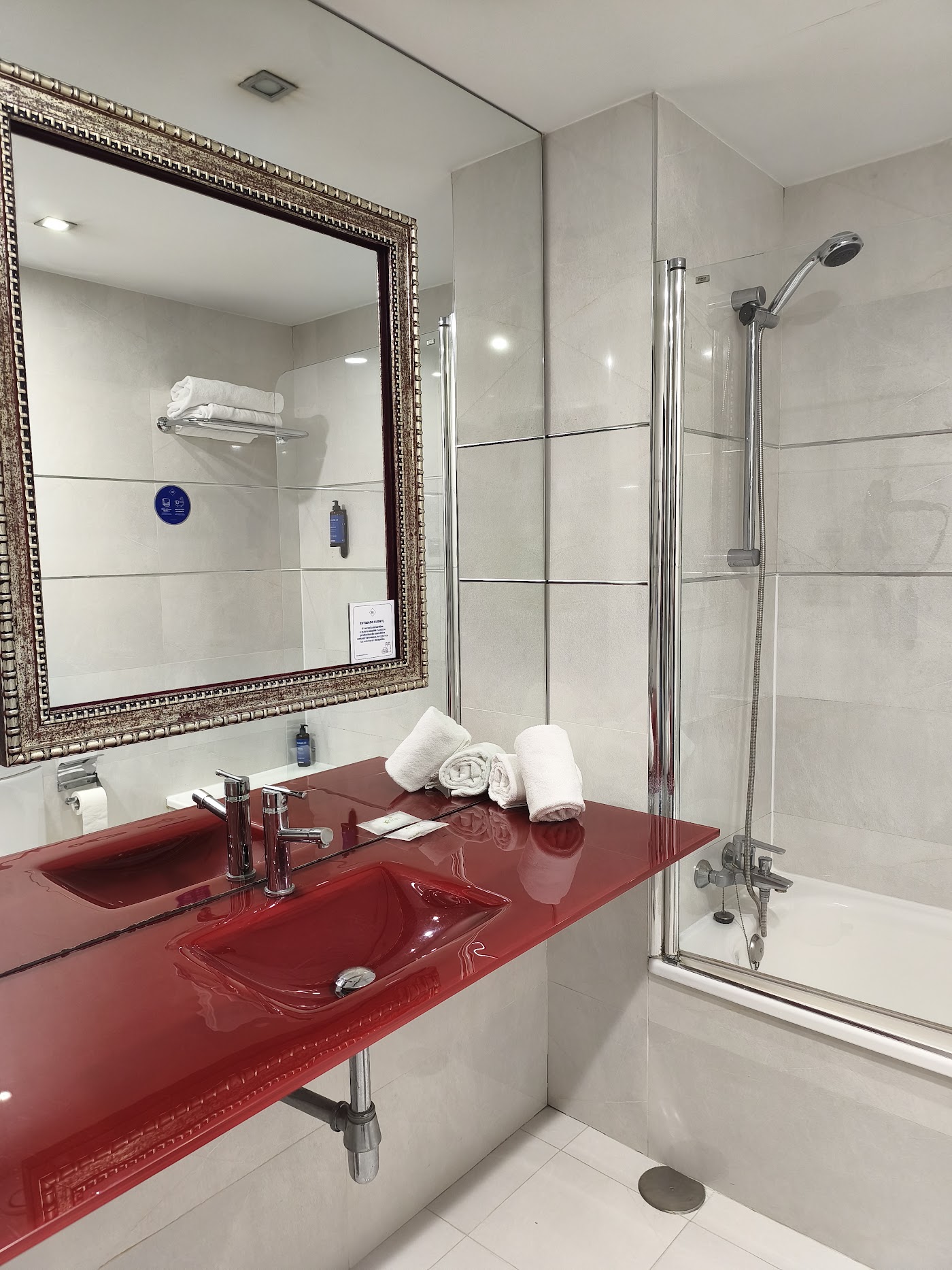 IBERIK Santo Domingo Plaza, dog-friendly hotel, photo 4