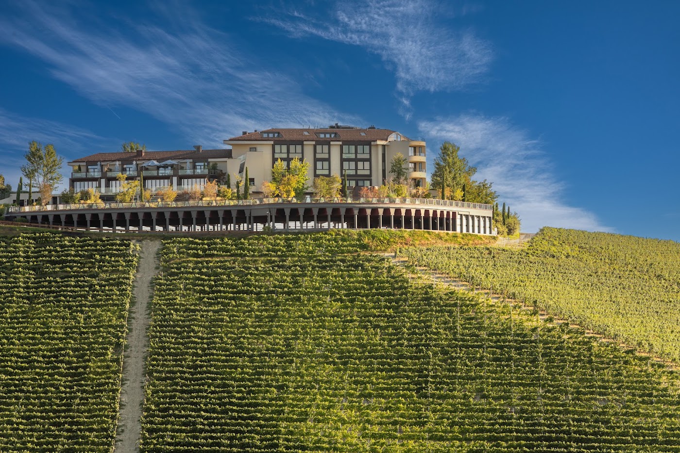 Il Boscareto Resort & Spa, dog-friendly hotel in Turin and Piedmont