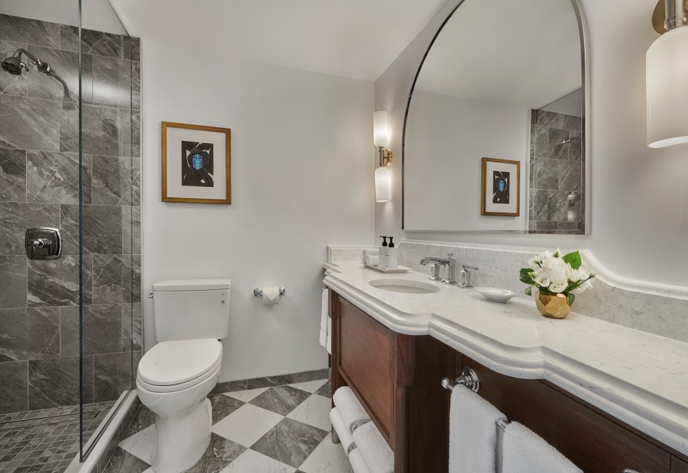 InterContinental Chicago Magnificent Mile, dog-friendly hotel, photo 2