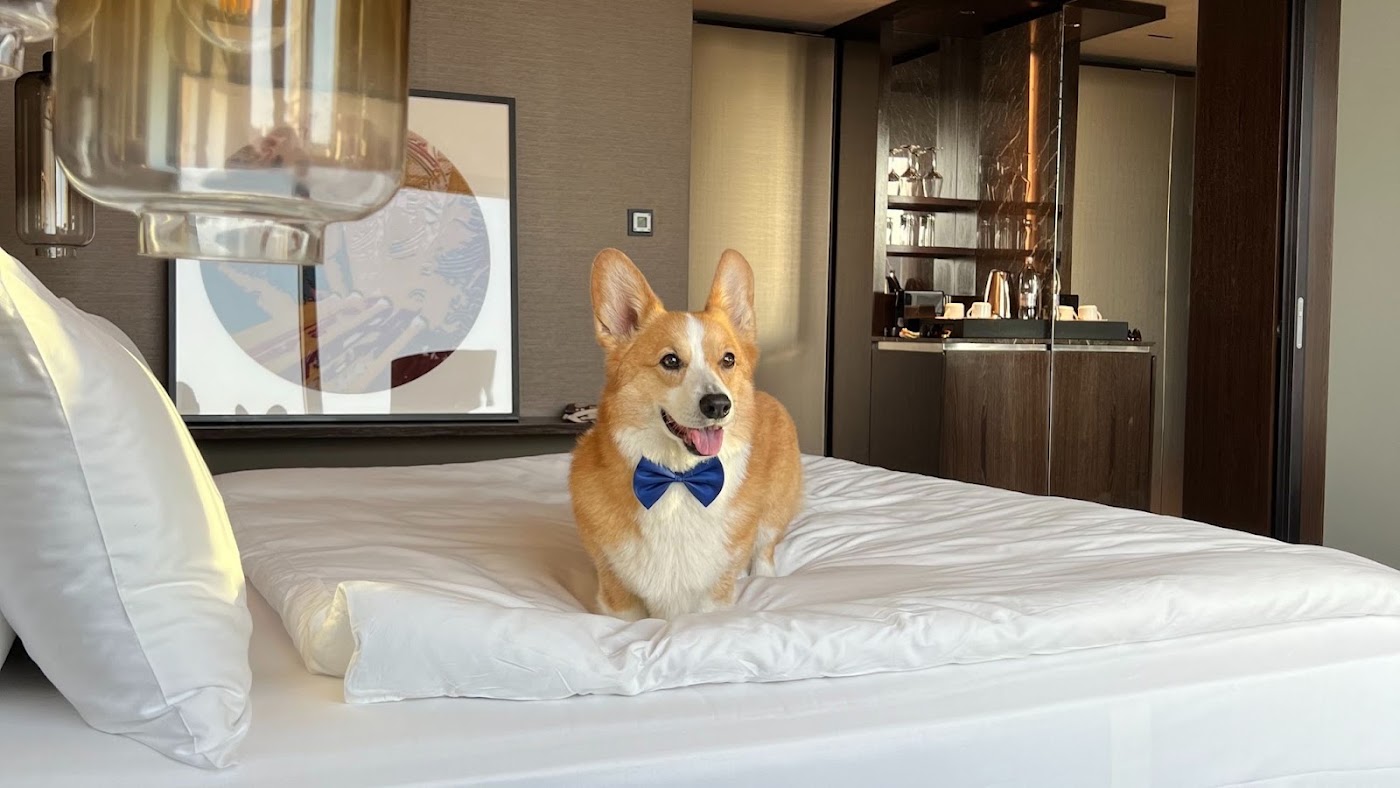 InterContinental Ljubljana, dog-friendly hotel, photo 3