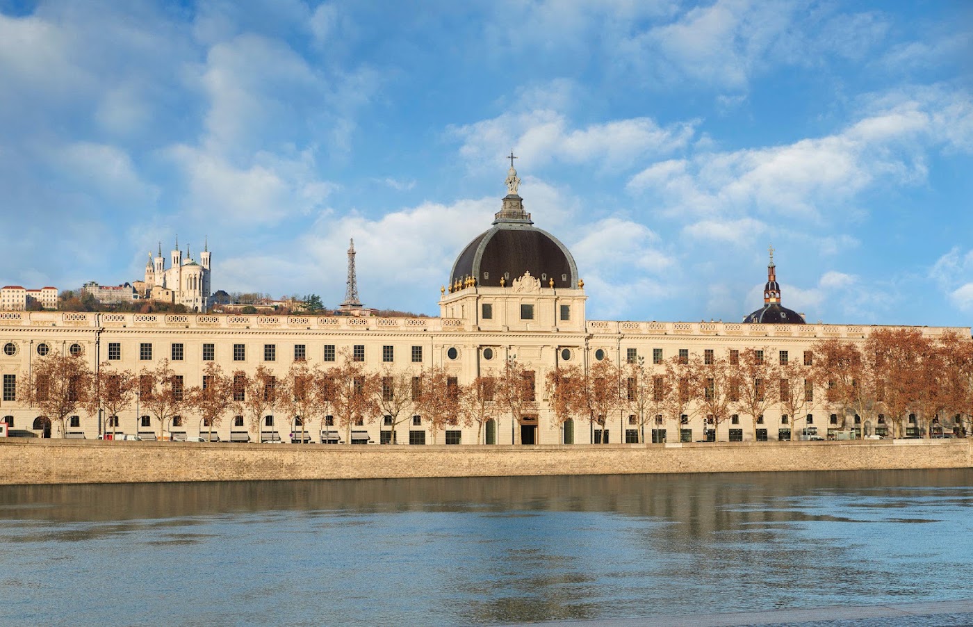 InterContinental Lyon - Hotel Dieu, dog-friendly hotel, photo 2