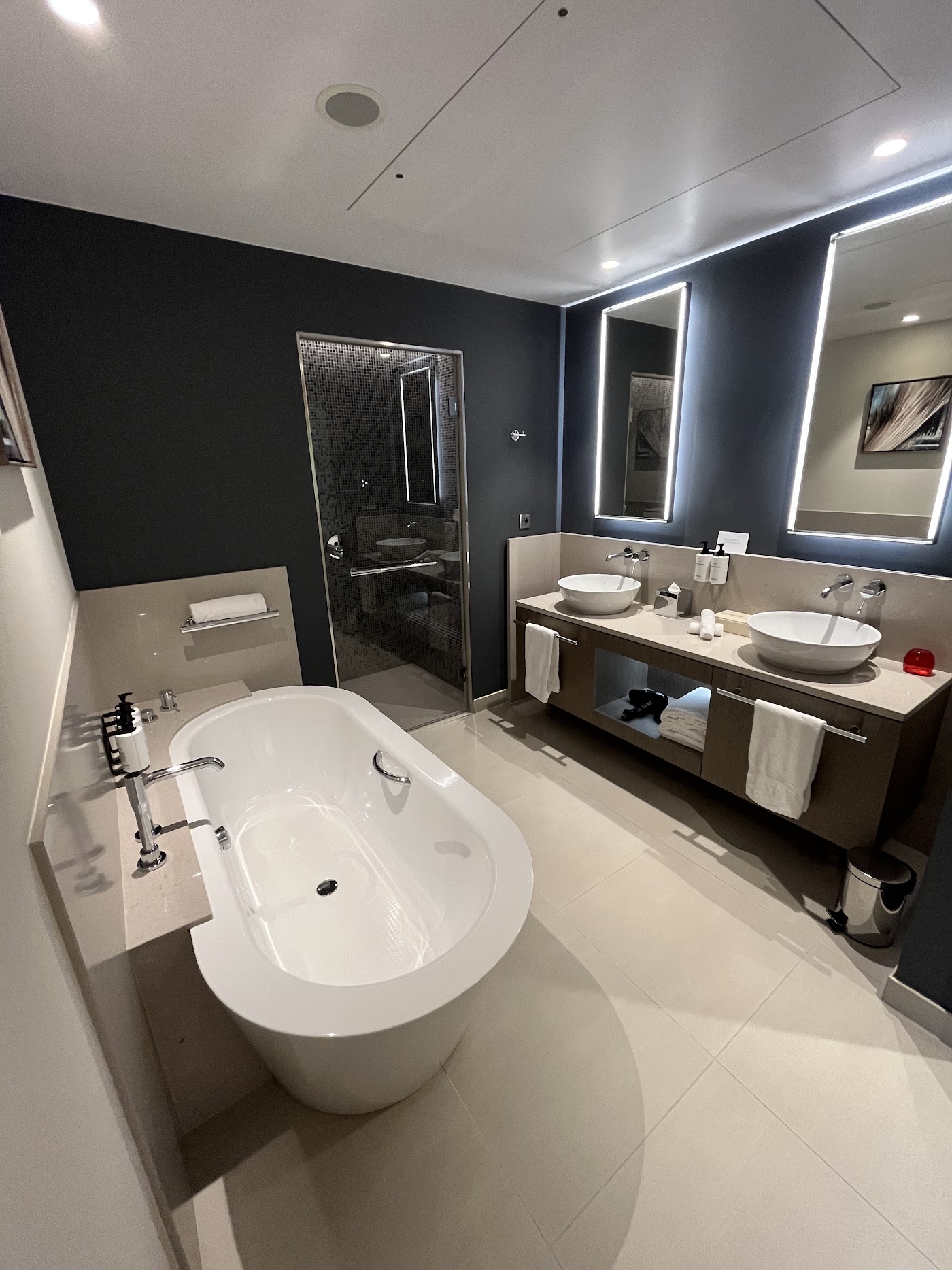 InterContinental Lyon - Hotel Dieu, dog-friendly hotel, photo 4
