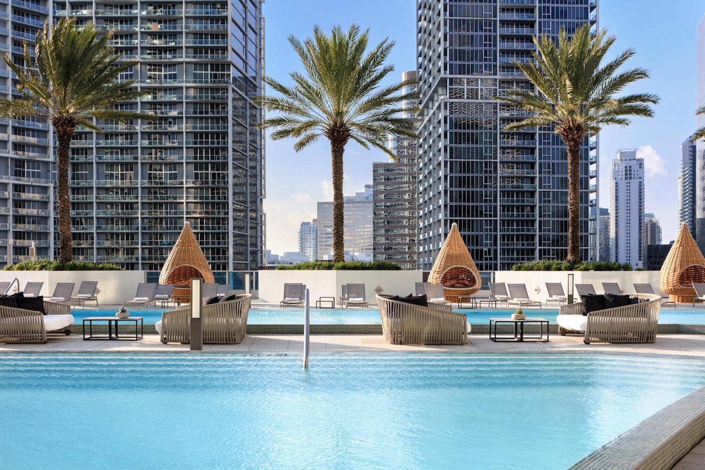 Kimpton EPIC Hotel, dog-friendly hotel, photo 2