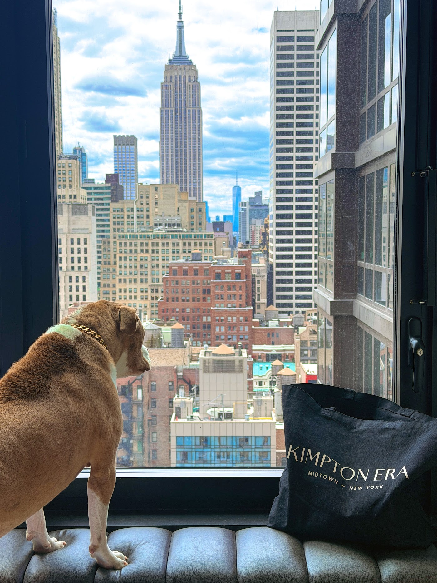 Kimpton Era Midtown New York, dog-friendly hotel, photo 2