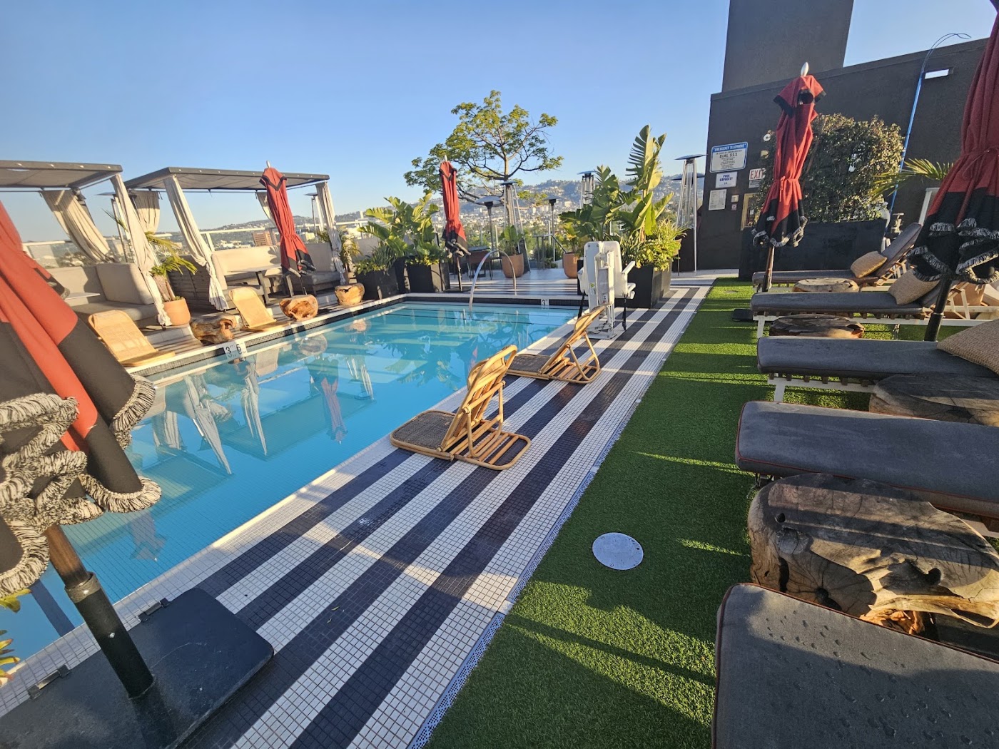 Kimpton Hotel Palomar Los Angeles Beverly Hills, dog-friendly hotel, photo 4