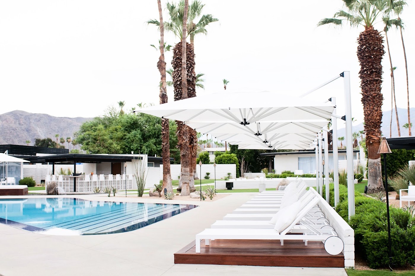 L'Horizon Resort & Spa, Hermann Bungalows, dog-friendly hotel, photo 4