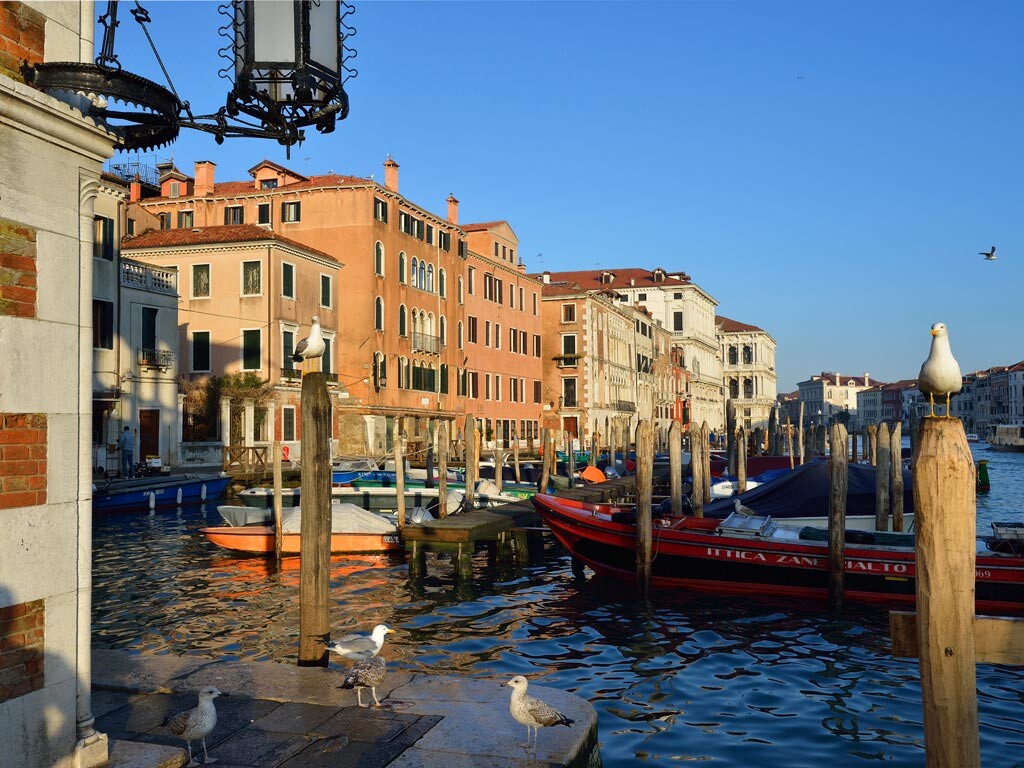 Hotel L'Orologio Venezia, dog-friendly hotel, photo 2