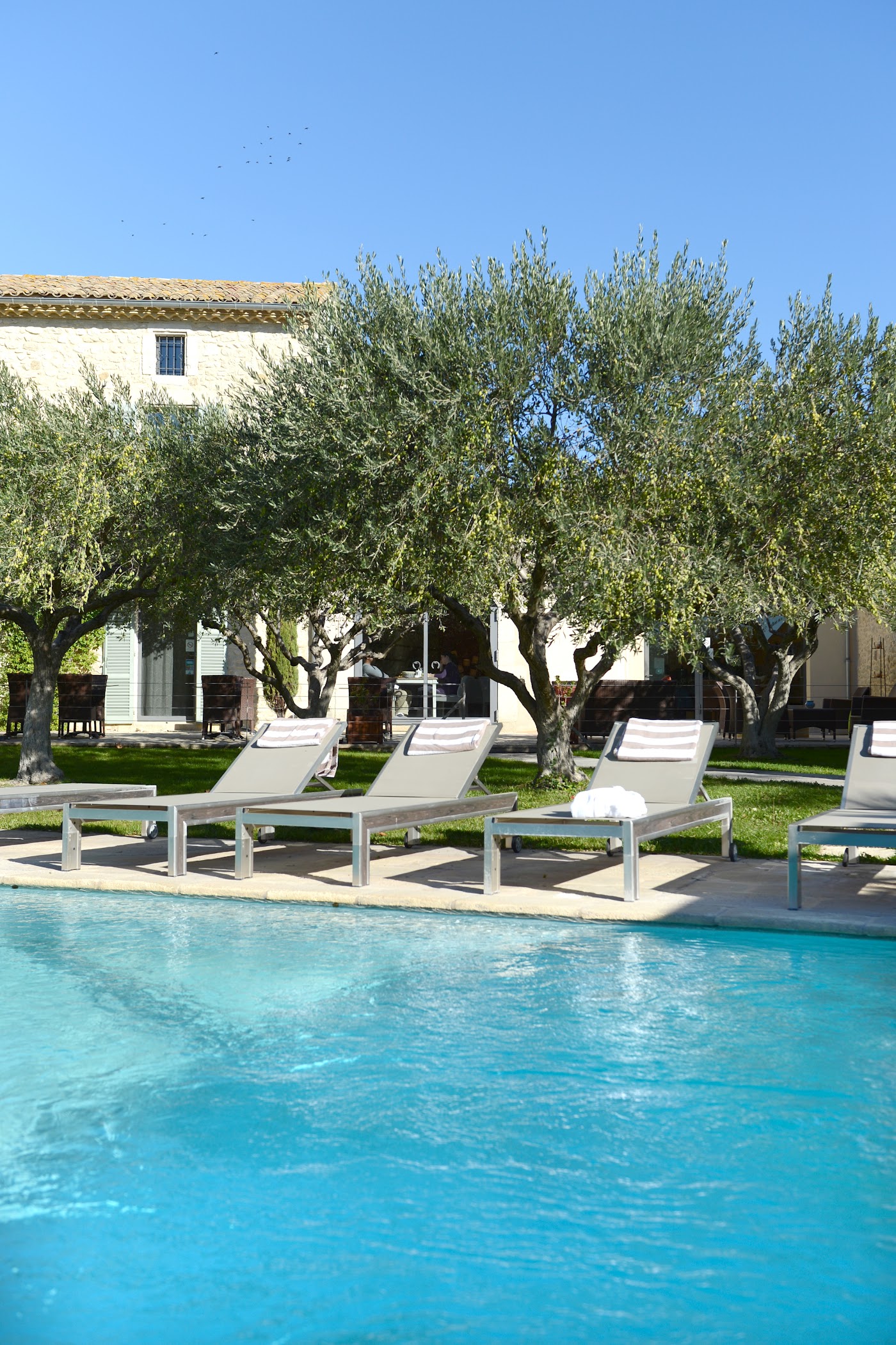 La Belle Vie, dog-friendly hotel, photo 4