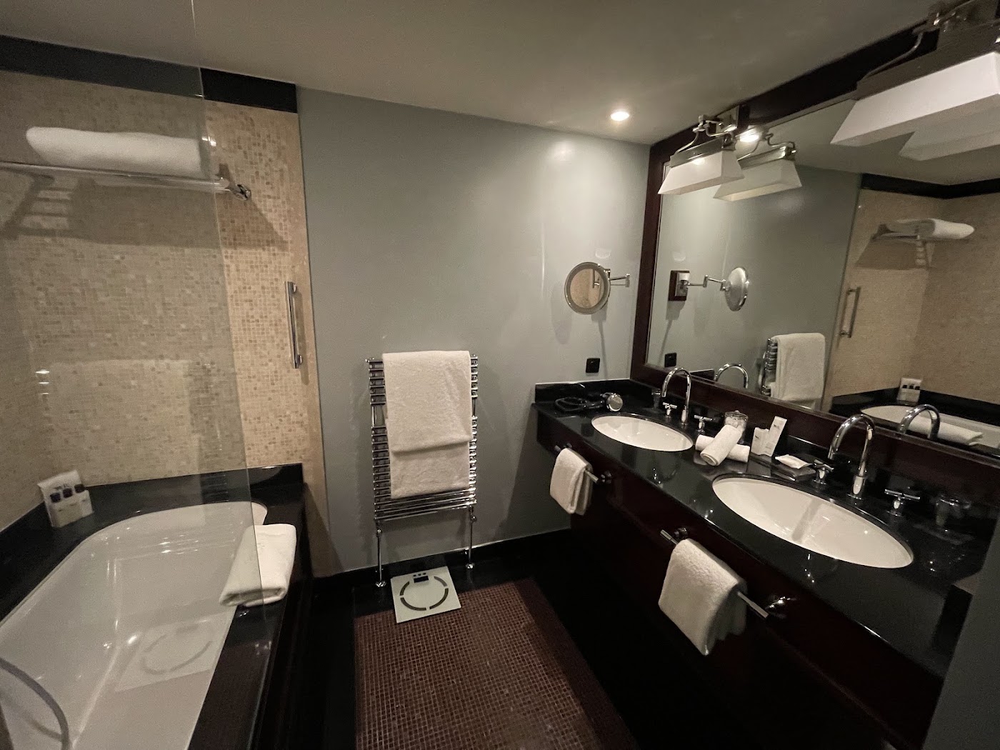 La Réserve Genève Hotel & Spa, dog-friendly hotel, photo 5