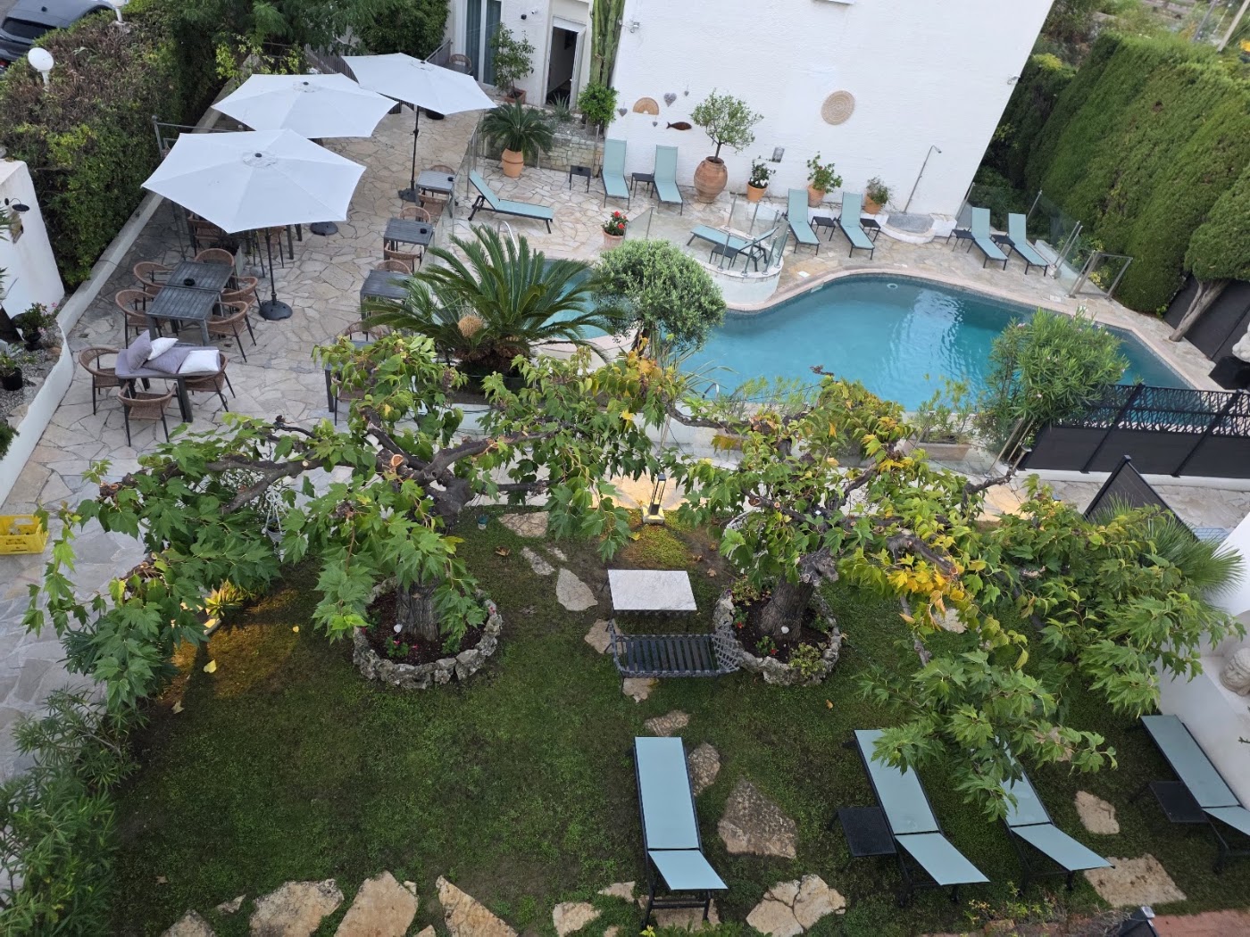 La Villa Cannes Croisette, dog-friendly hotel, photo 4