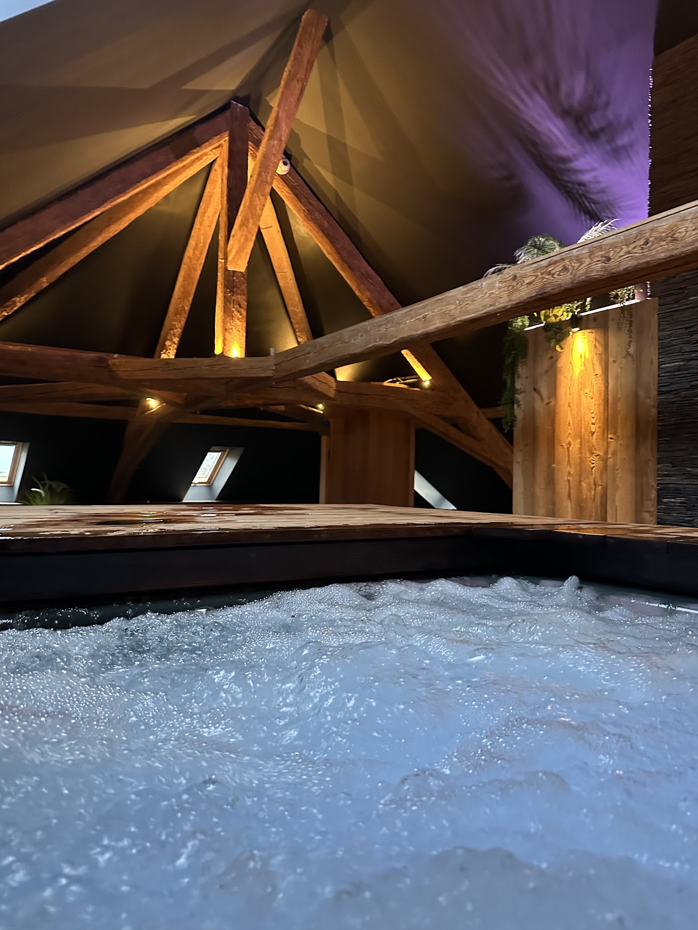 L'Abbaye de Talloires, dog-friendly hotel, photo 3