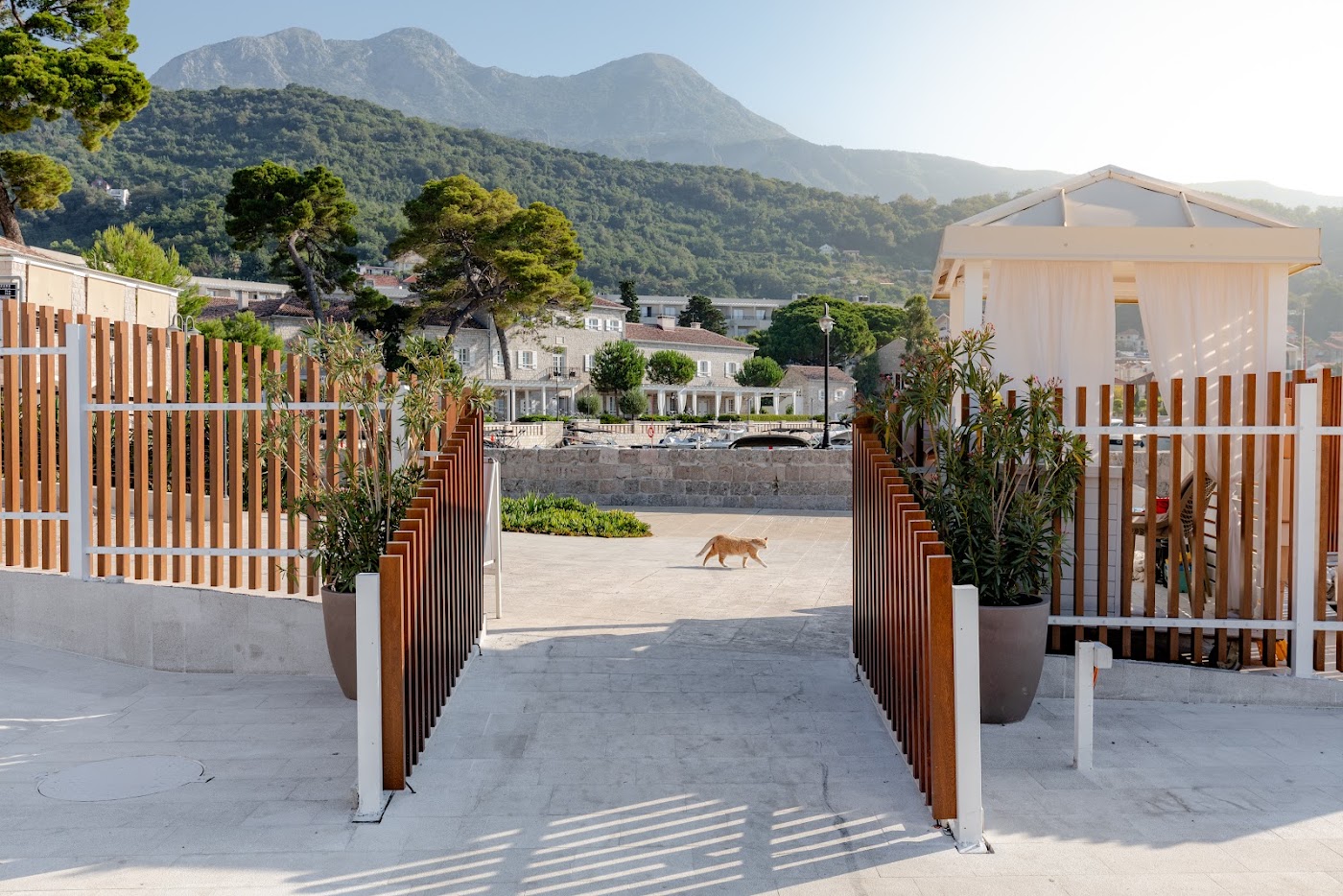 Lazure Hotel & Marina, dog-friendly hotel, photo 2