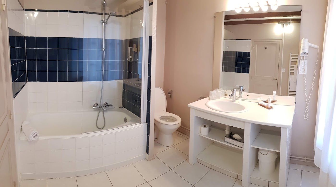 Le Grand Monarque, dog-friendly hotel, photo 4