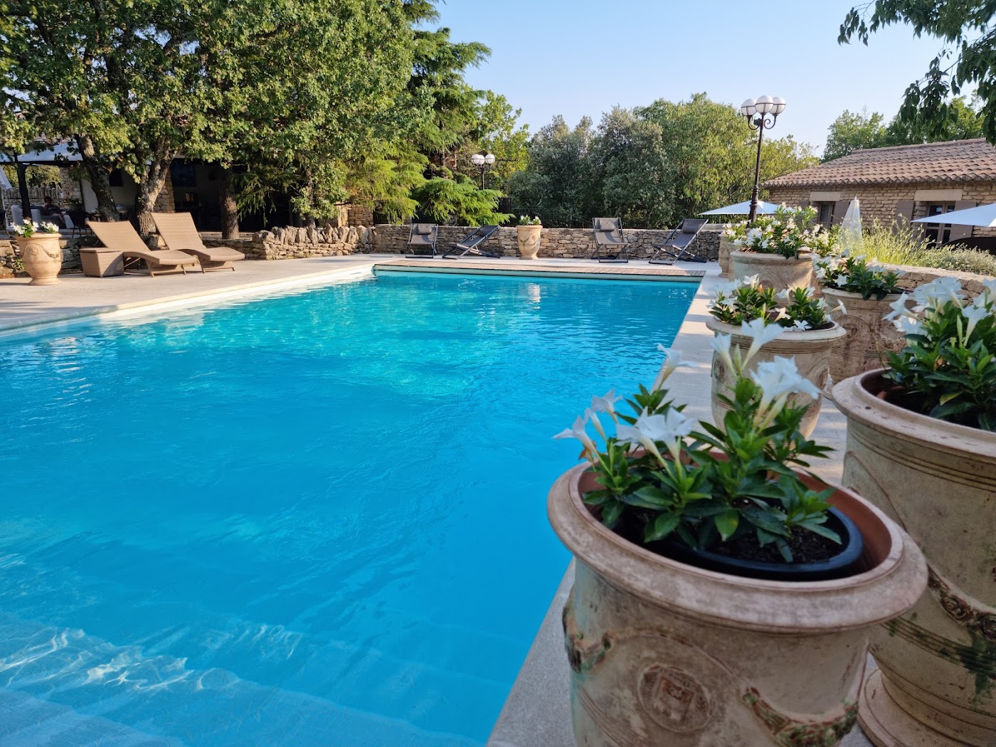 Le Jas de Gordes, dog-friendly hotel, photo 4