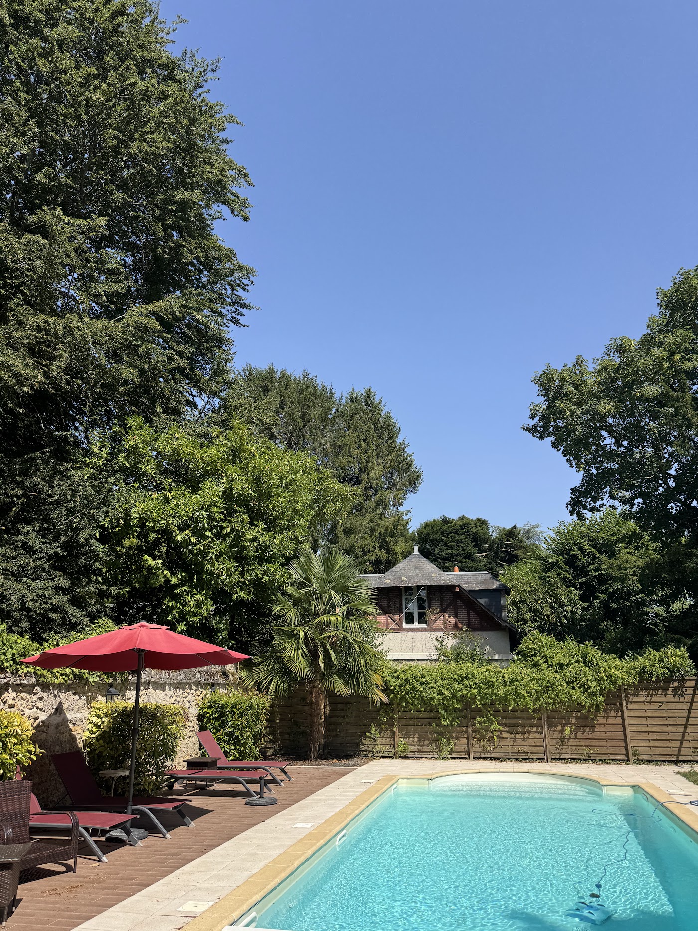 Le Manoir Saint Thomas, dog-friendly hotel, photo 4