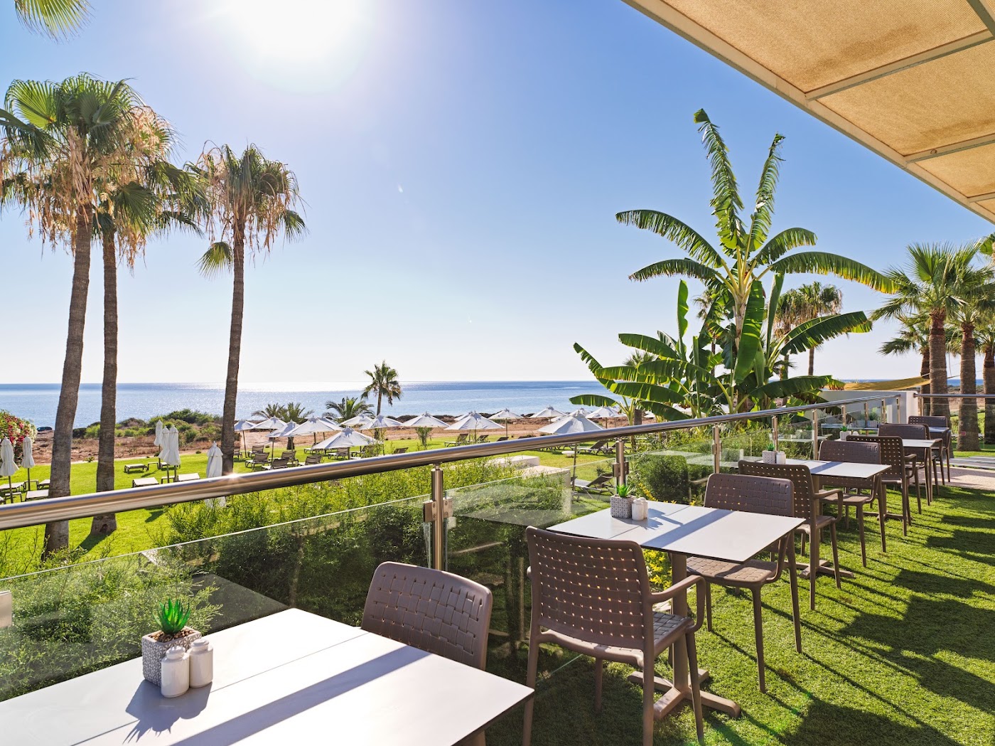 Leonardo Crystal Cove Hotel & Spa by the Sea, dog-friendly hotel, photo 5