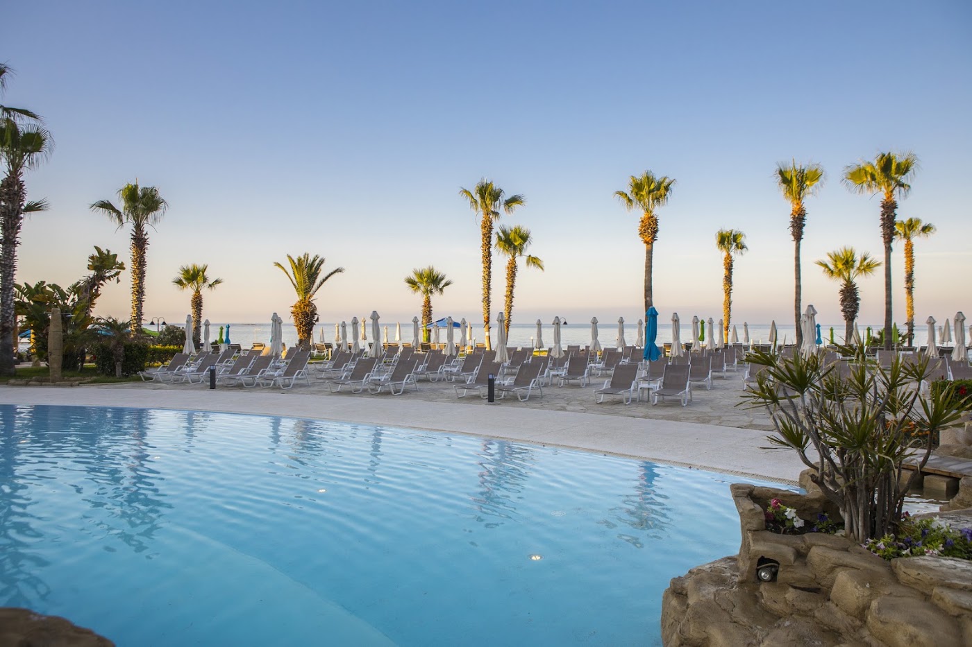 Leonardo Cypria Bay, dog-friendly hotel, photo 3