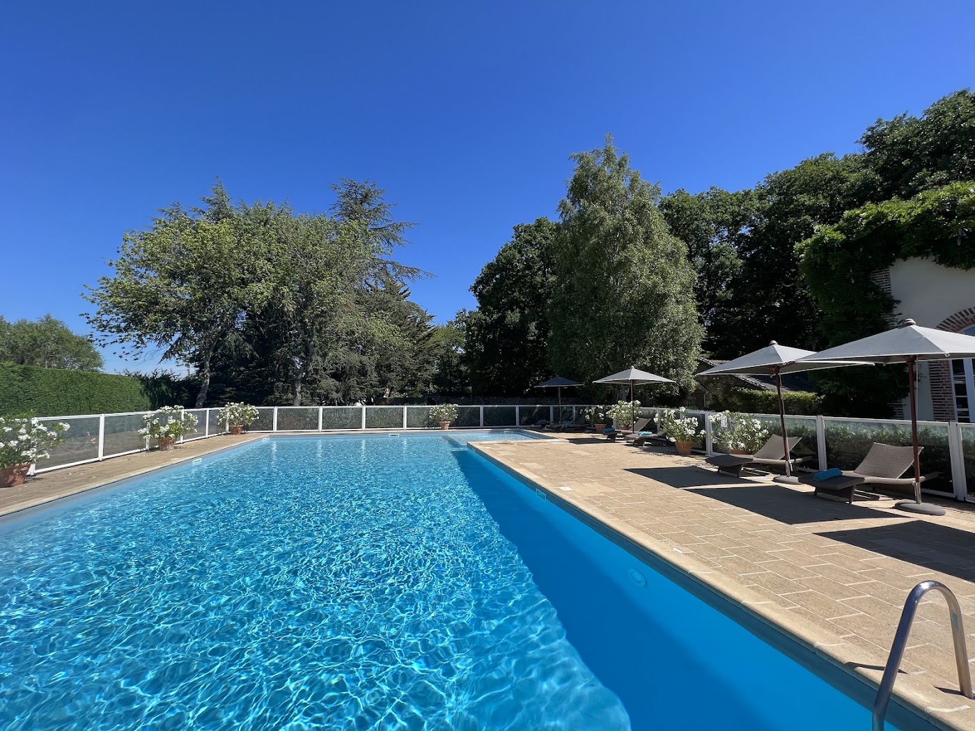 Les Hauts de Loire, dog-friendly hotel, photo 4