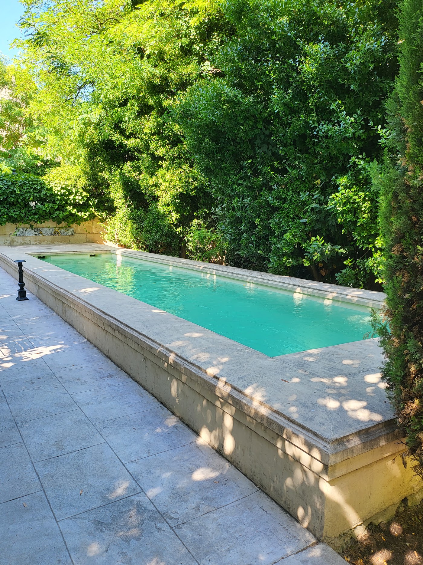 L'Hôtel Particulier, dog-friendly hotel, photo 4