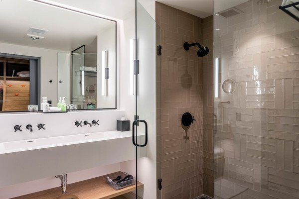 Limelight Hotel Snowmass, dog-friendly hotel, photo 5