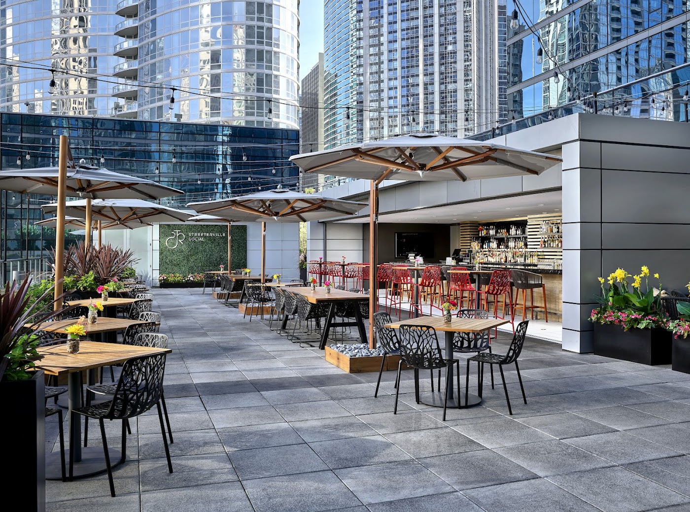 Loews Chicago Hotel, dog-friendly hotel, photo 2