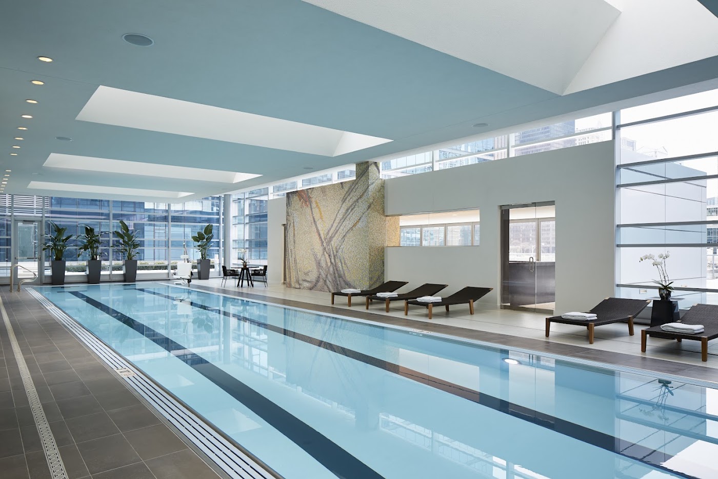 Loews Chicago Hotel, dog-friendly hotel, photo 4