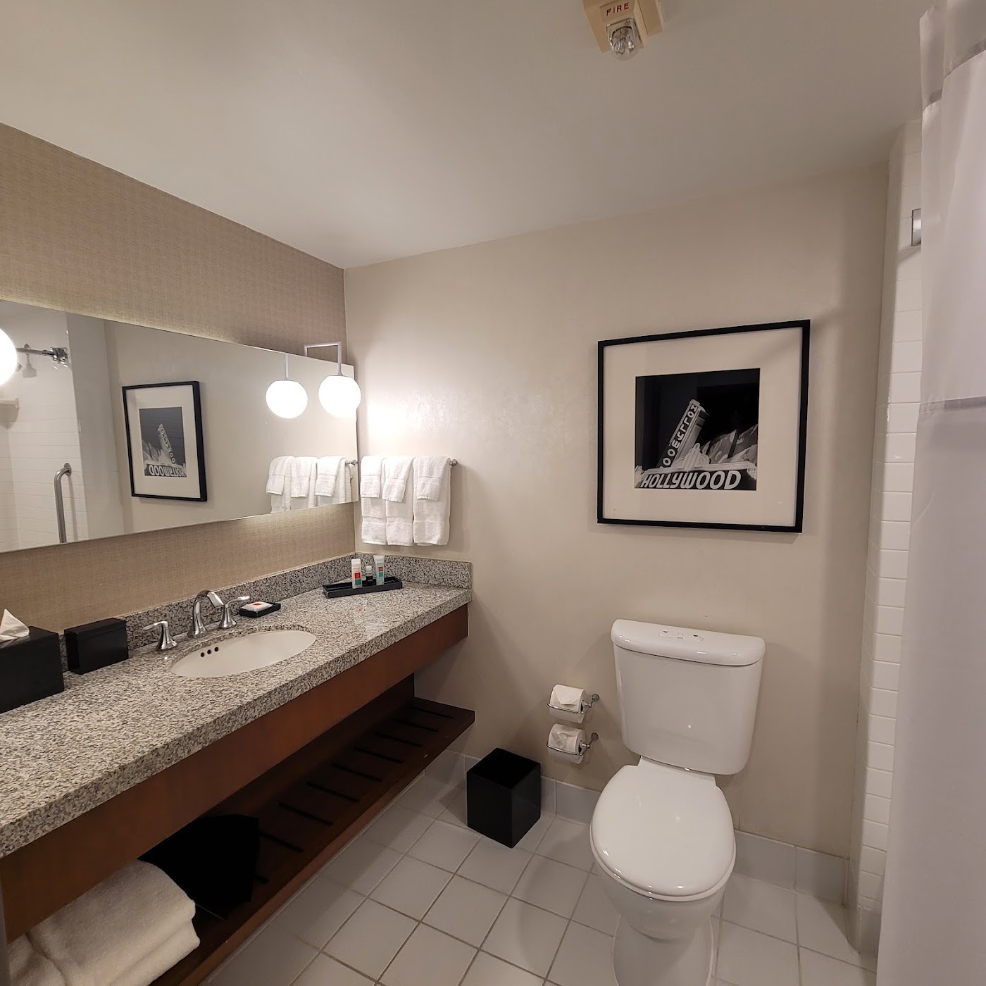 Loews Hollywood Hotel, dog-friendly hotel, photo 5
