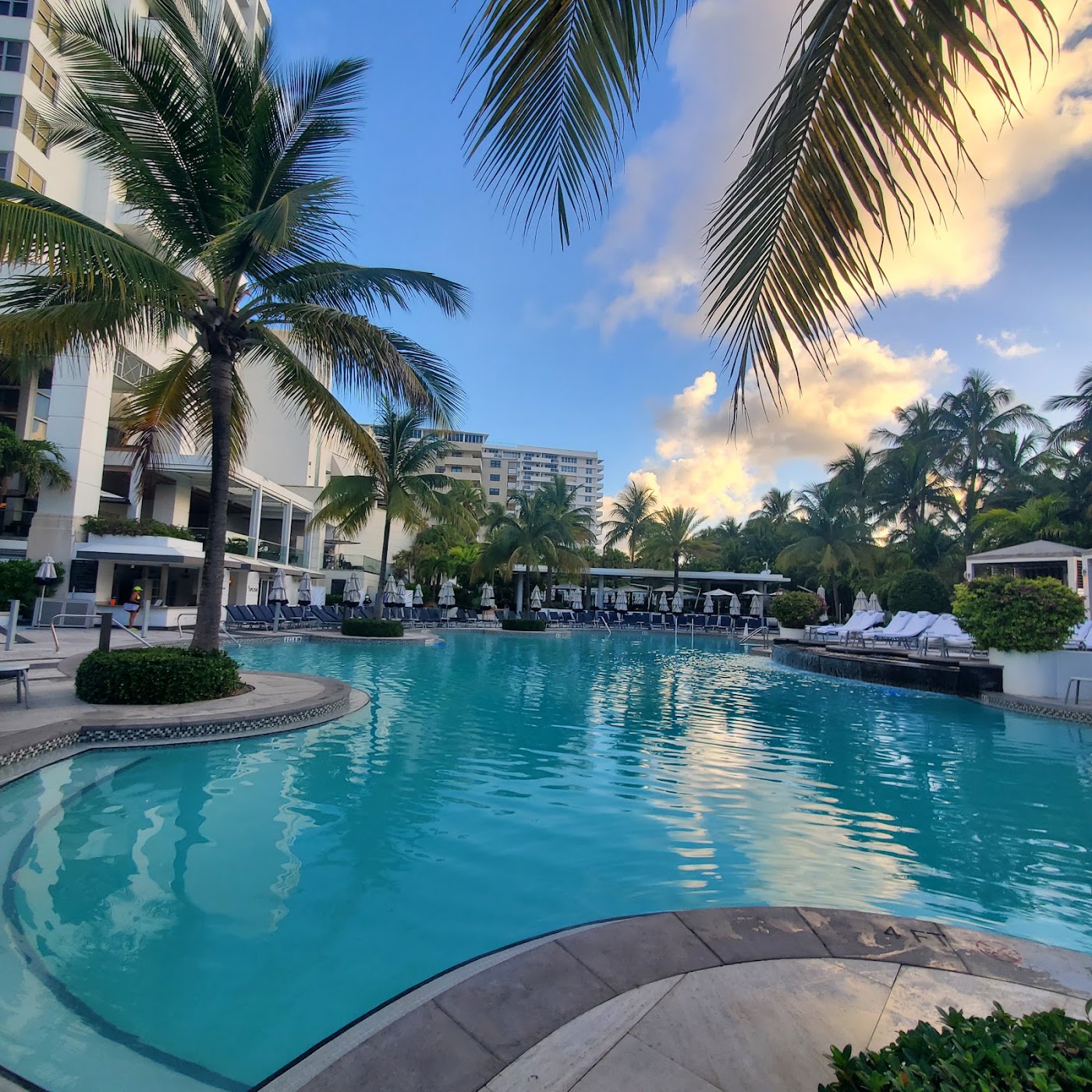 Loews Miami Beach Hotel, dog-friendly hotel, photo 4