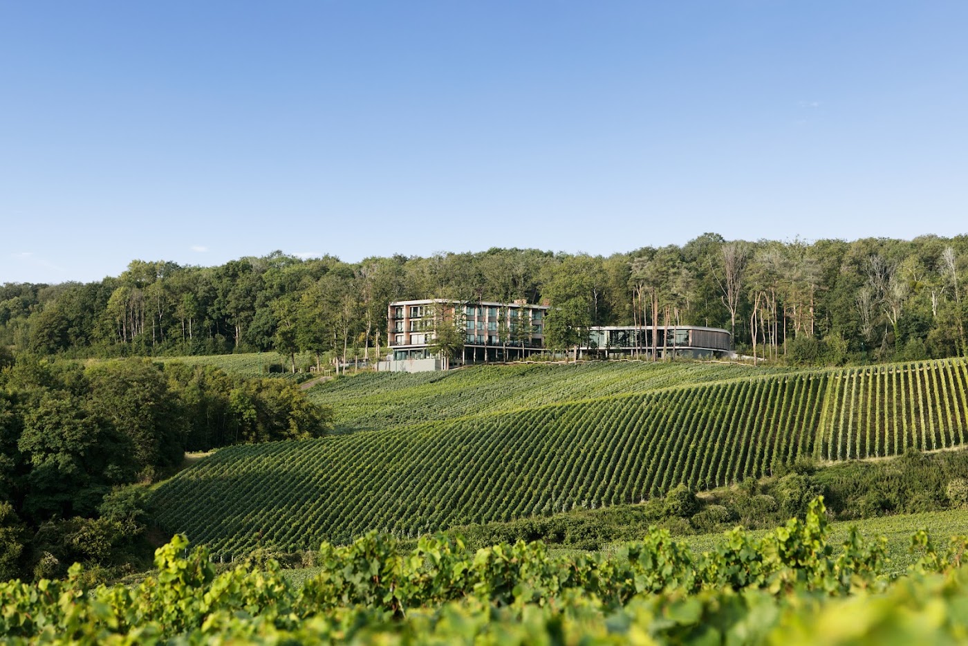 LOISIUM Wine & Spa Hotel Champagne, dog-friendly hotel, photo 3