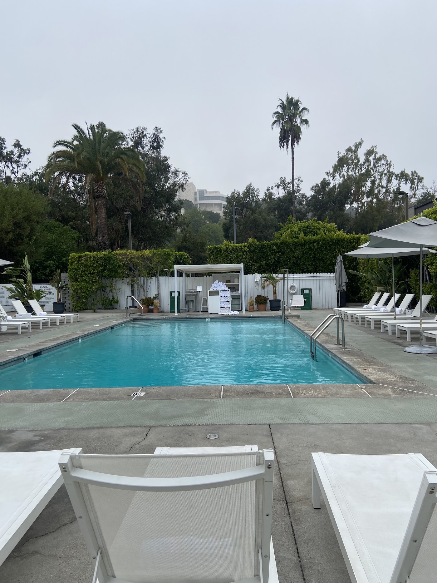 Luxe Sunset Boulevard Hotel, dog-friendly hotel, photo 4