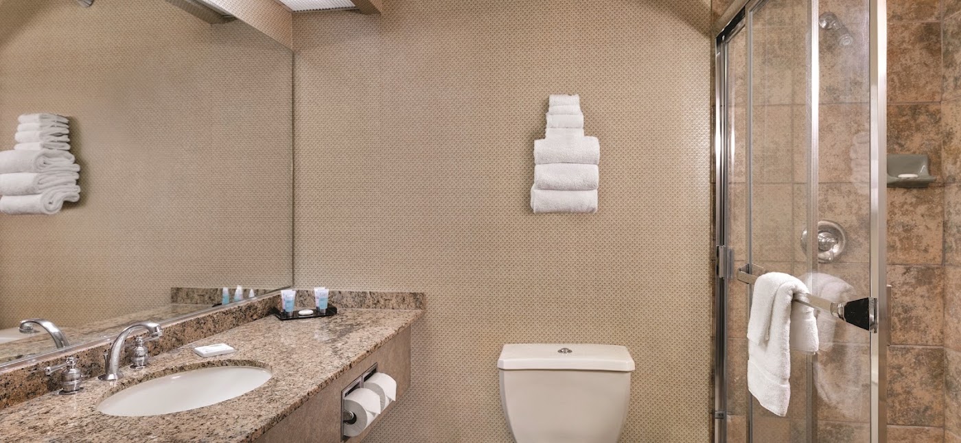 Luxor Hotel and Casino, dog-friendly hotel, photo 5
