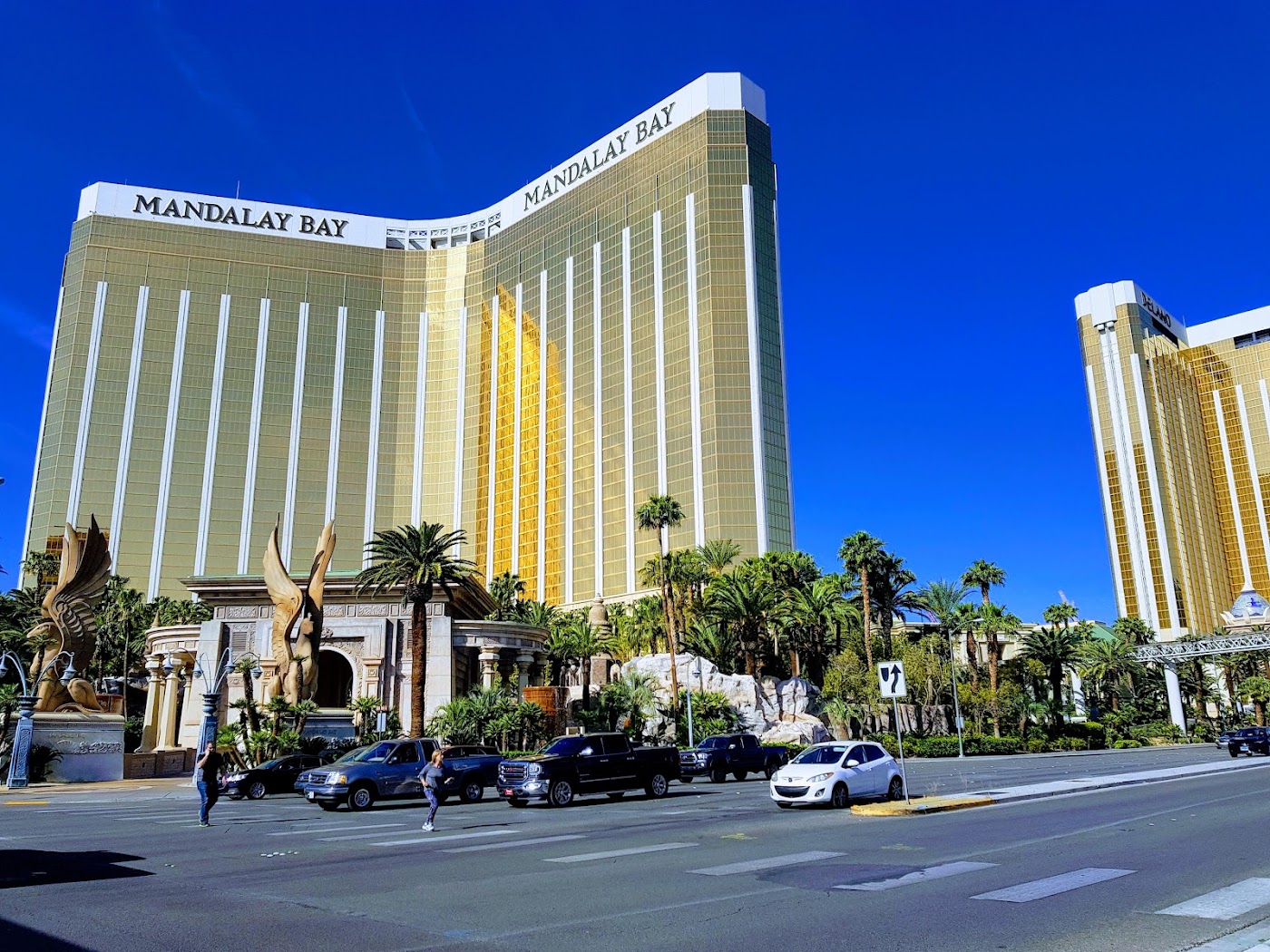 Mandalay Bay Resort and Casino, dog-friendly hotel, photo 2