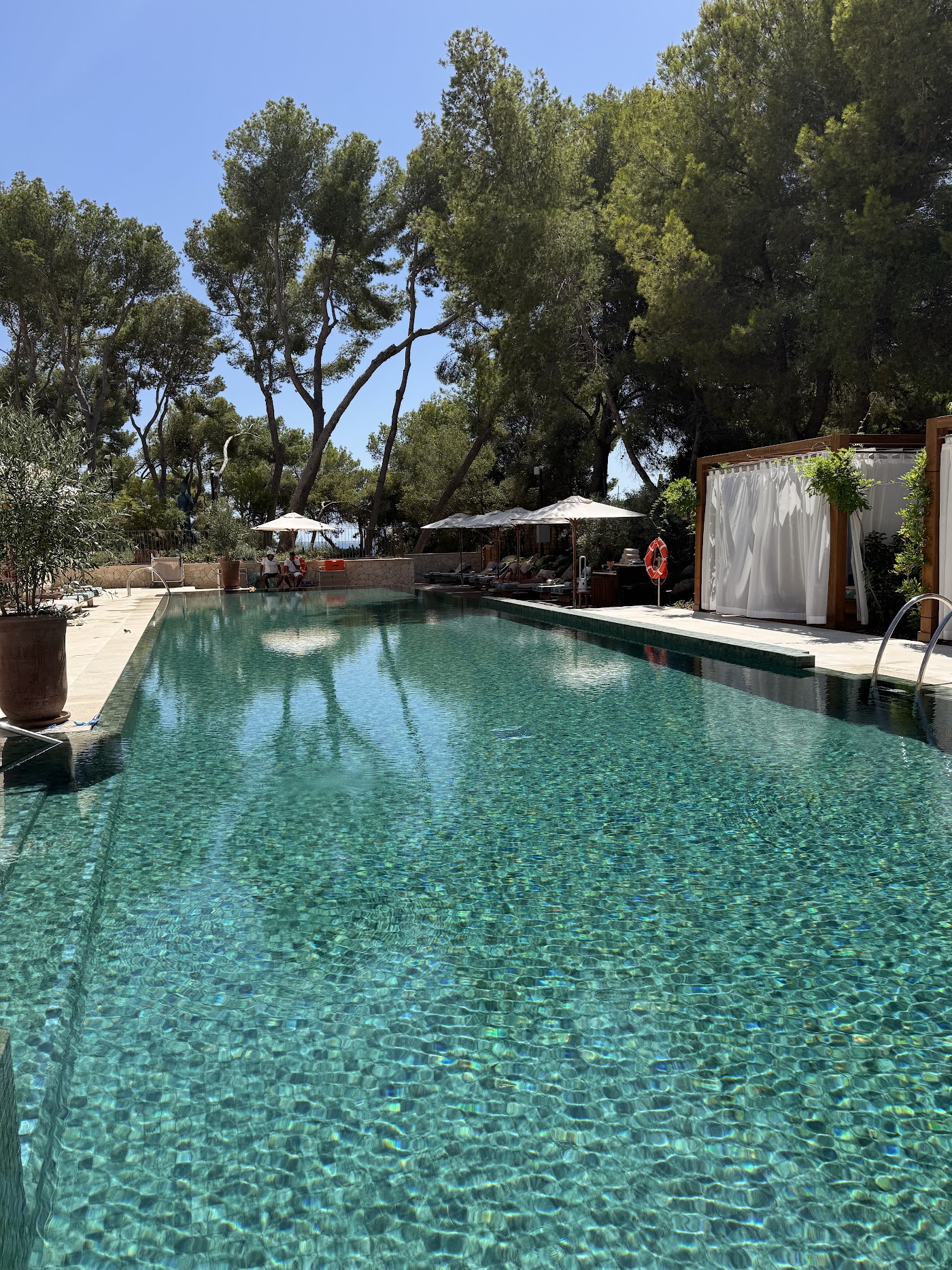 Mandarin Oriental Punta Negra, Mallorca, dog-friendly hotel, photo 4
