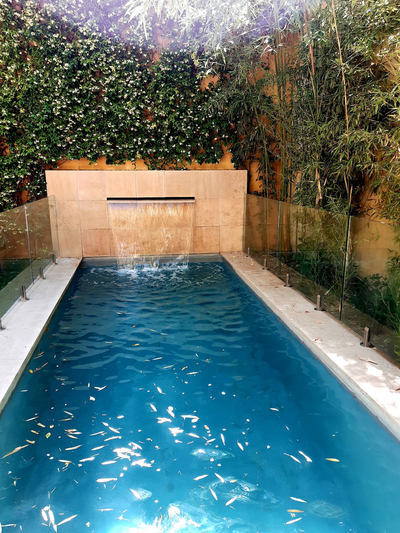 Margaret - Hôtel Chouleur, dog-friendly hotel, photo 4