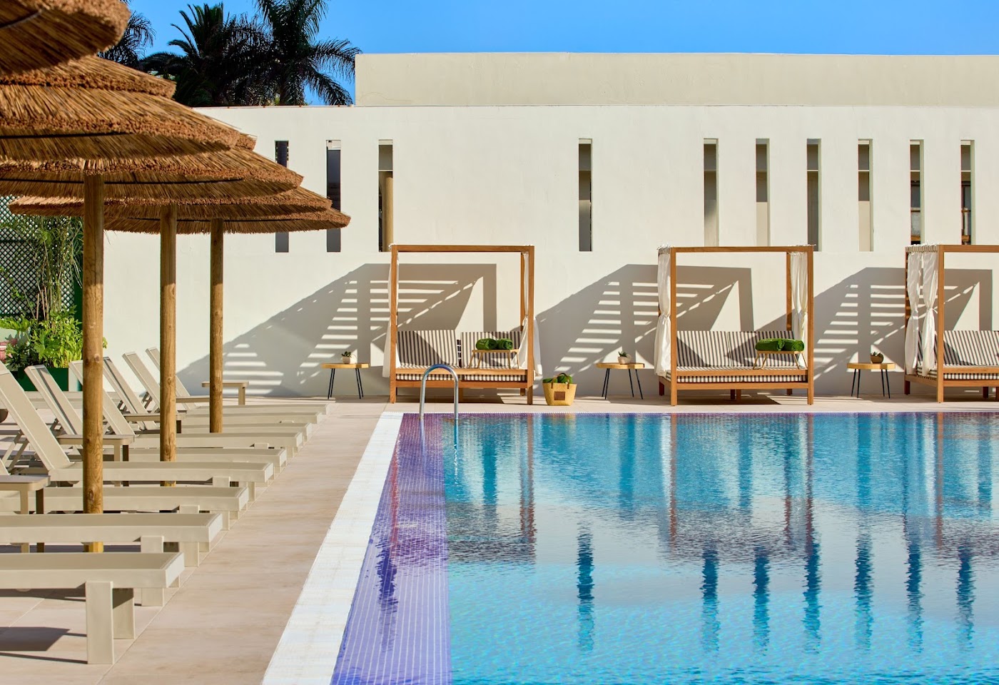 Melia Costa Atlantis Tenerife, dog-friendly hotel, photo 2