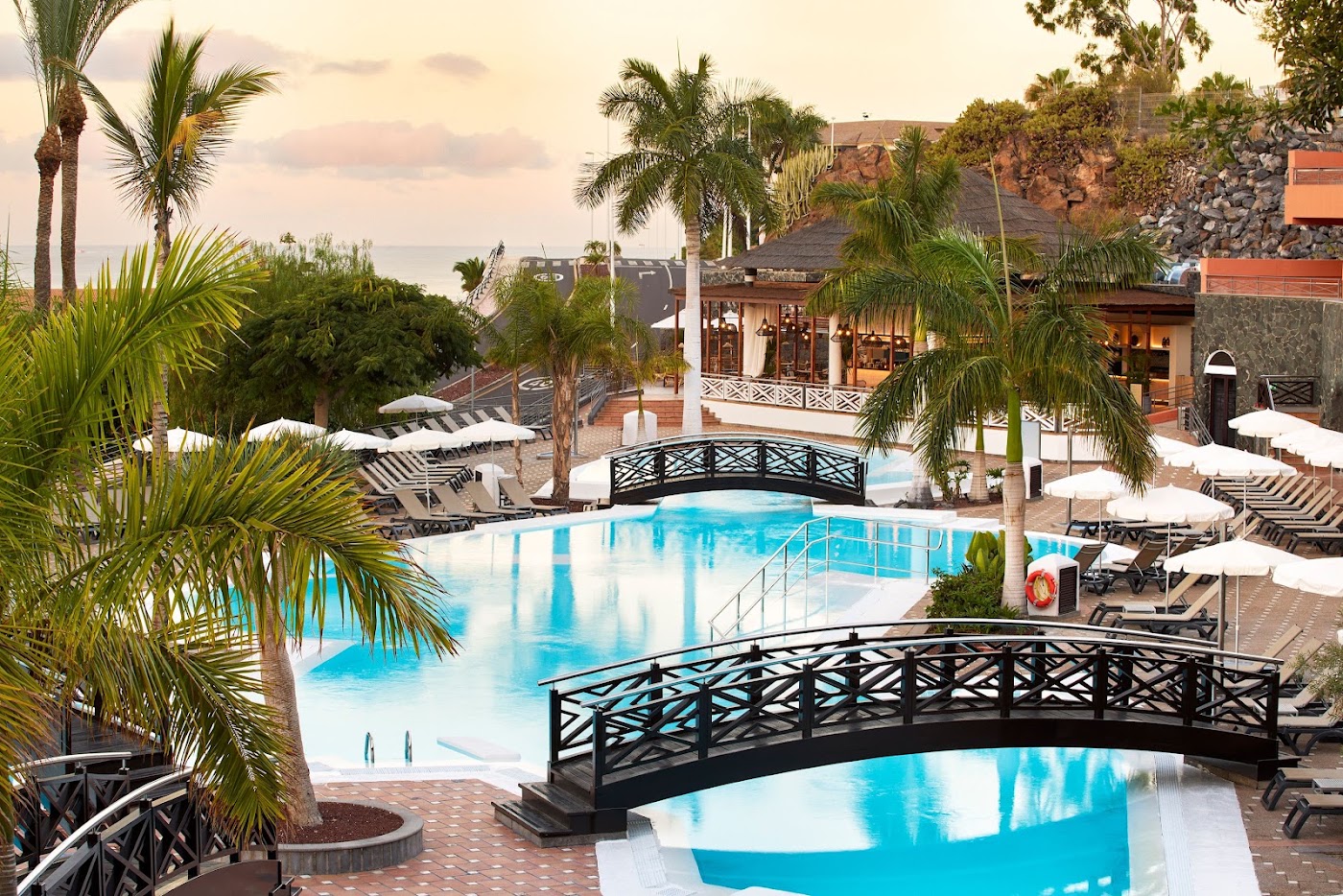 Melia Jardines del Teide, dog-friendly hotel, photo 4