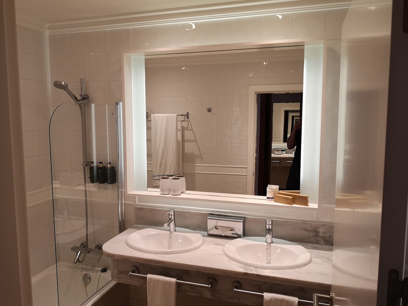 Melia Jardines del Teide, dog-friendly hotel, photo 5