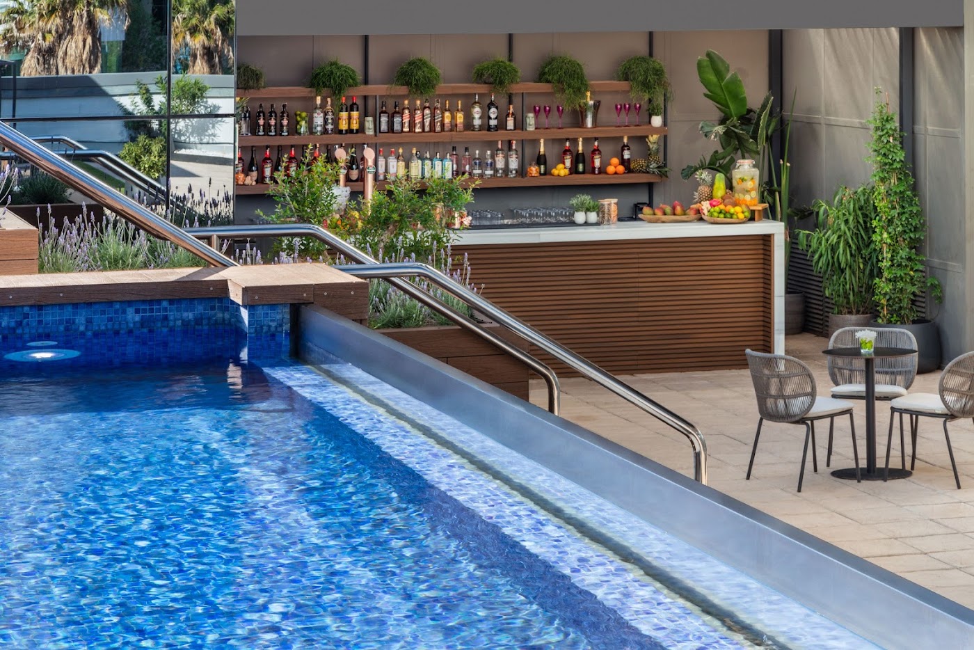Meliá Valencia, dog-friendly hotel, photo 3