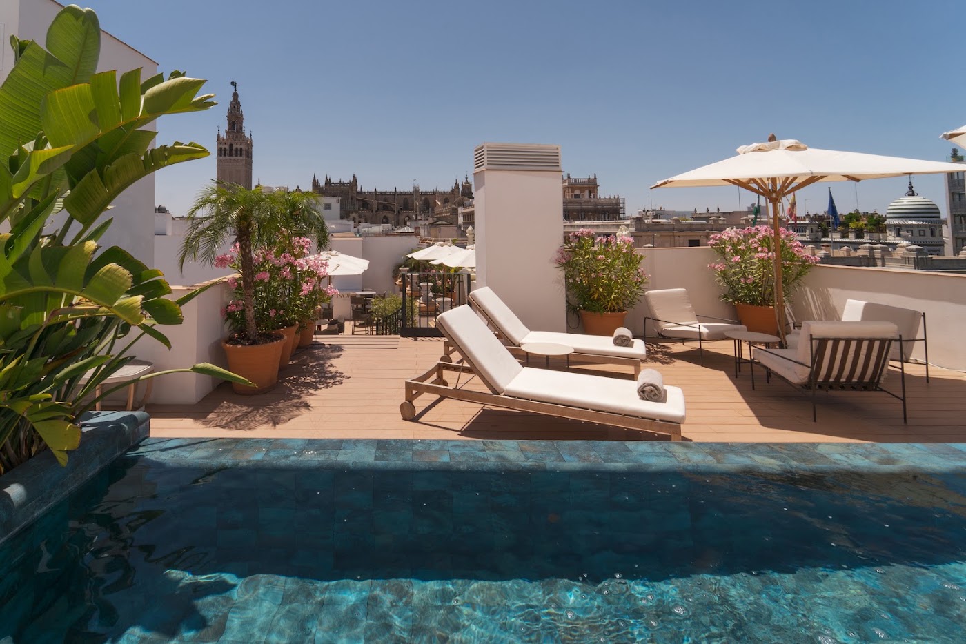 Mercer Plaza Sevilla, dog-friendly hotel, photo 2