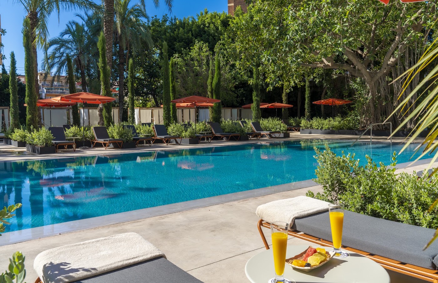 Mercure Benidorm, dog-friendly hotel, photo 4