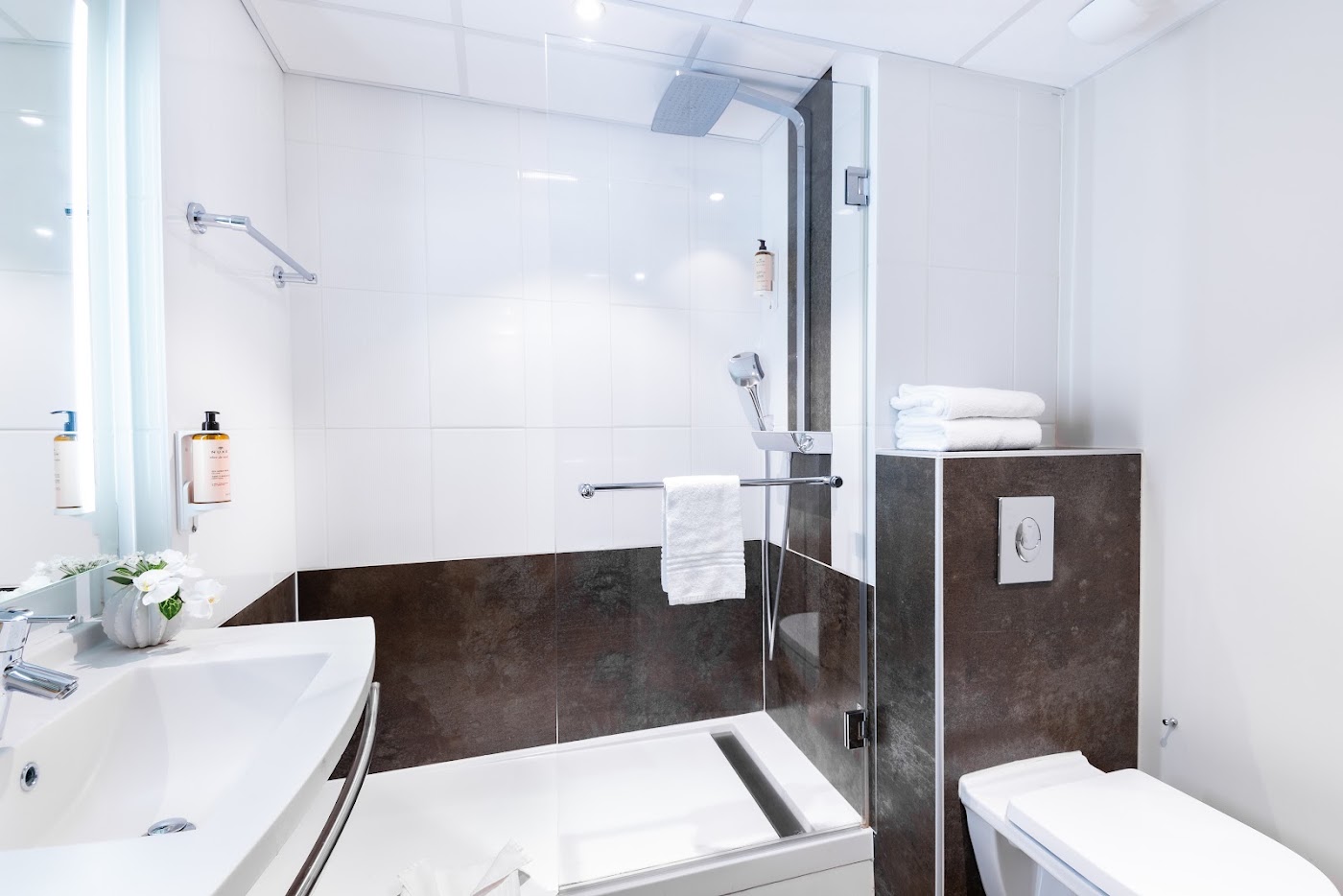 Mercure Colmar Centre Unterlinden, dog-friendly hotel, photo 4