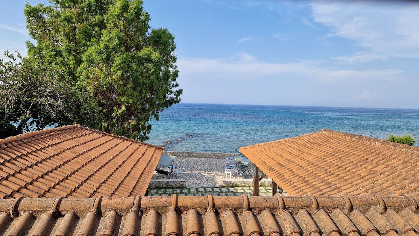 Mimoza Beach, dog-friendly hotel, photo 2