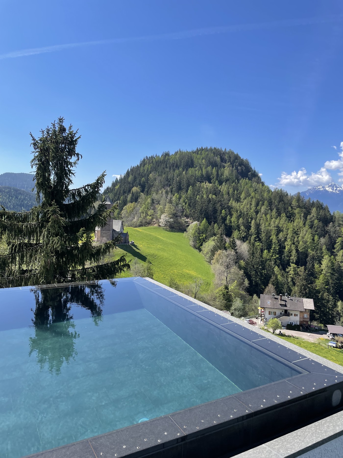 Miramonti Boutique Hotel, dog-friendly hotel, photo 4