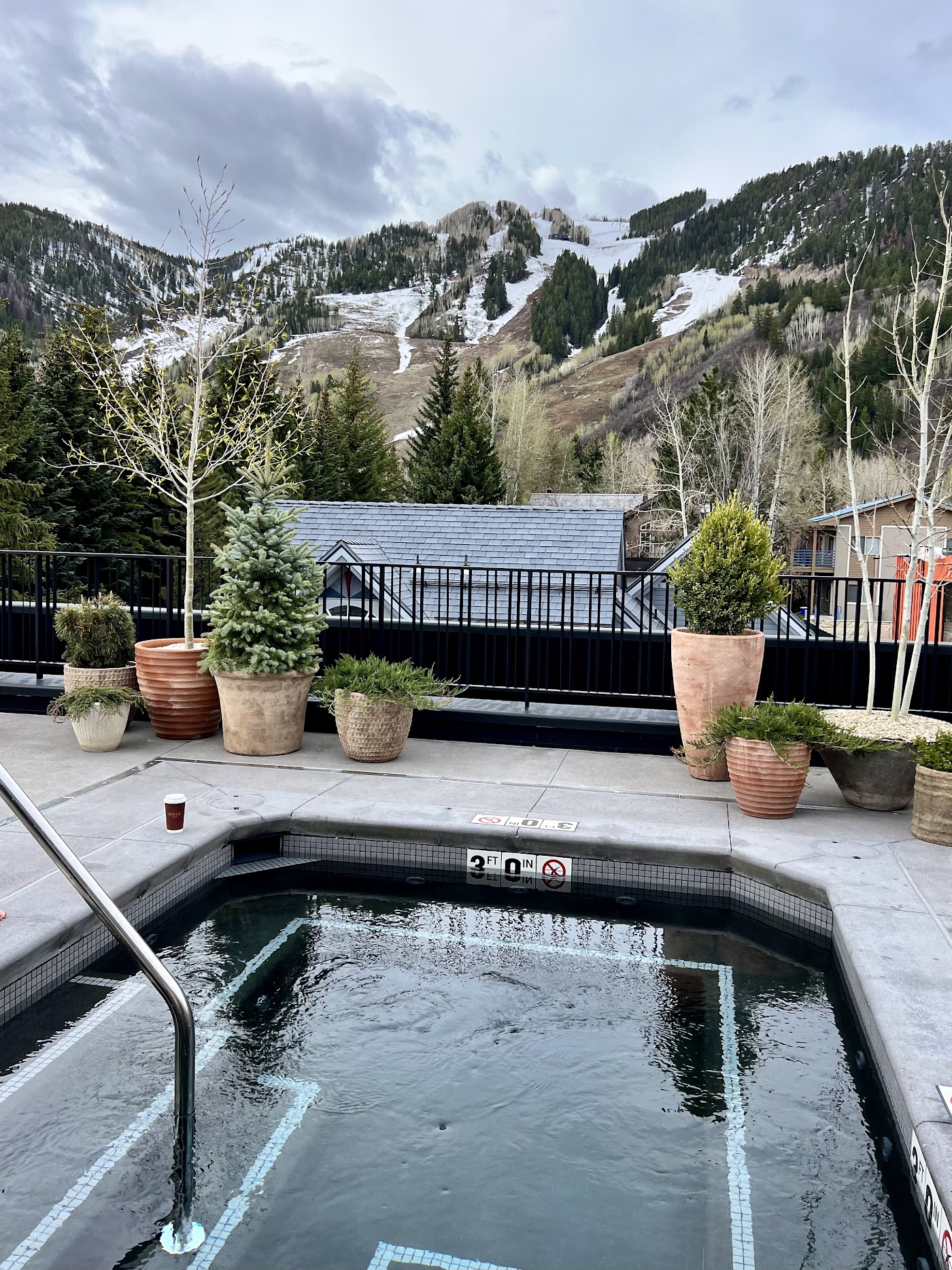MOLLIE Aspen, dog-friendly hotel, photo 4