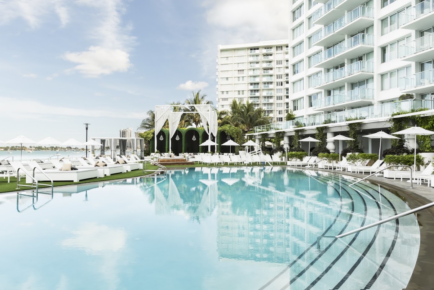 Mondrian South Beach, dog-friendly hotel, photo 2