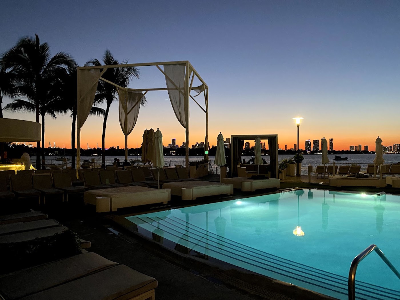 Mondrian South Beach, dog-friendly hotel, photo 4