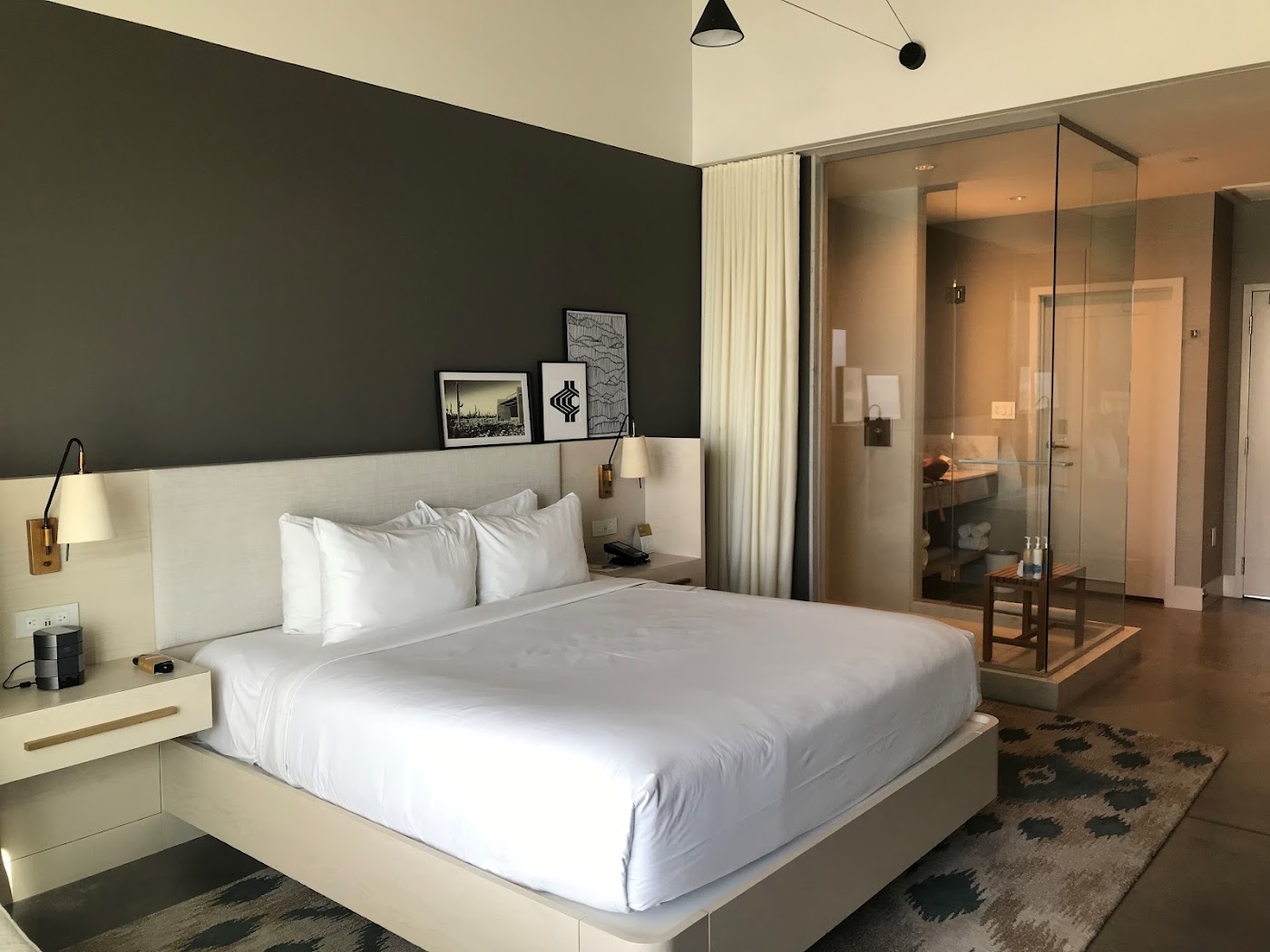 Mountain Shadows Resort Scottsdale, dog-friendly hotel, photo 3