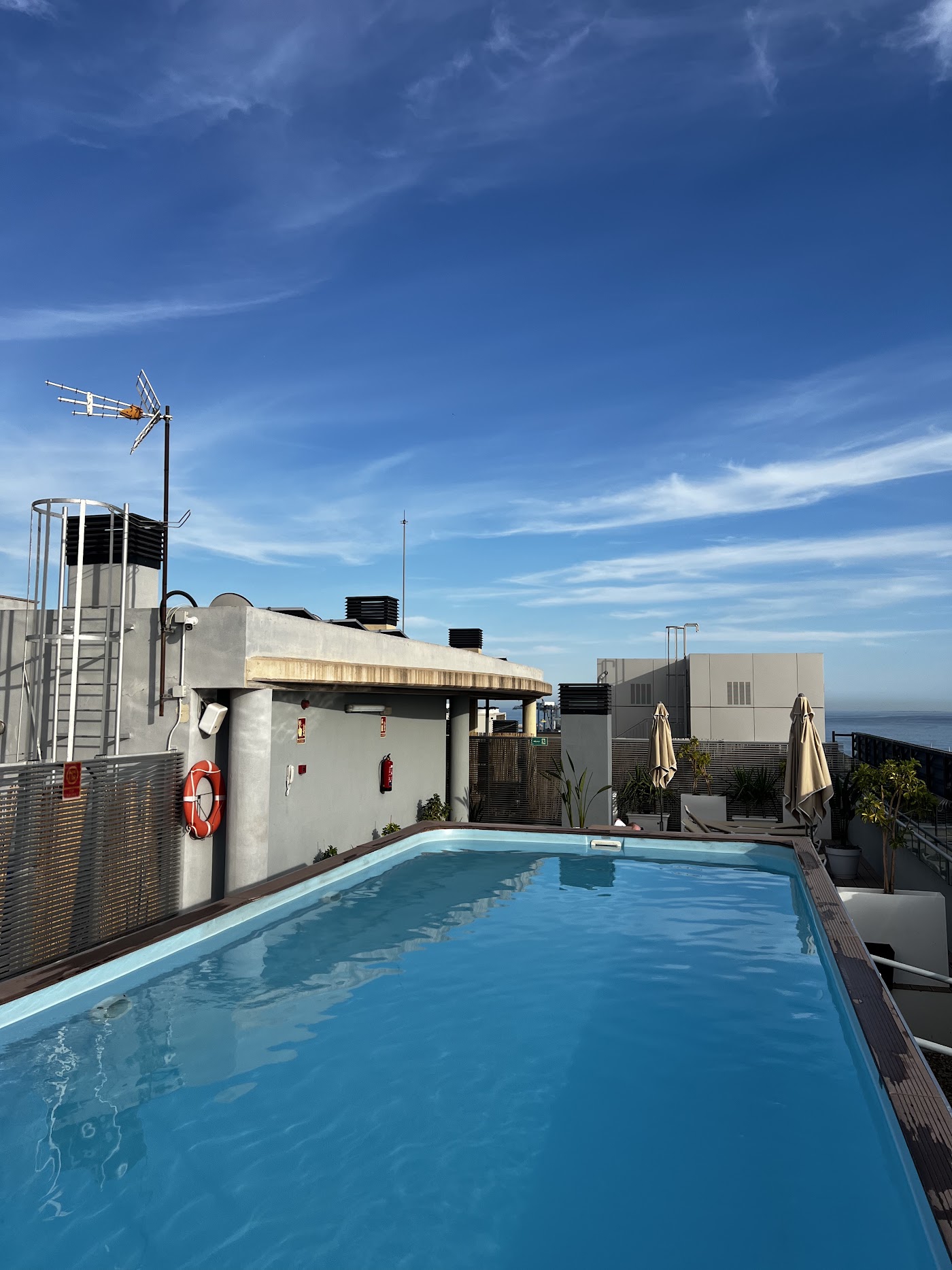 NH Alicante, dog-friendly hotel, photo 3