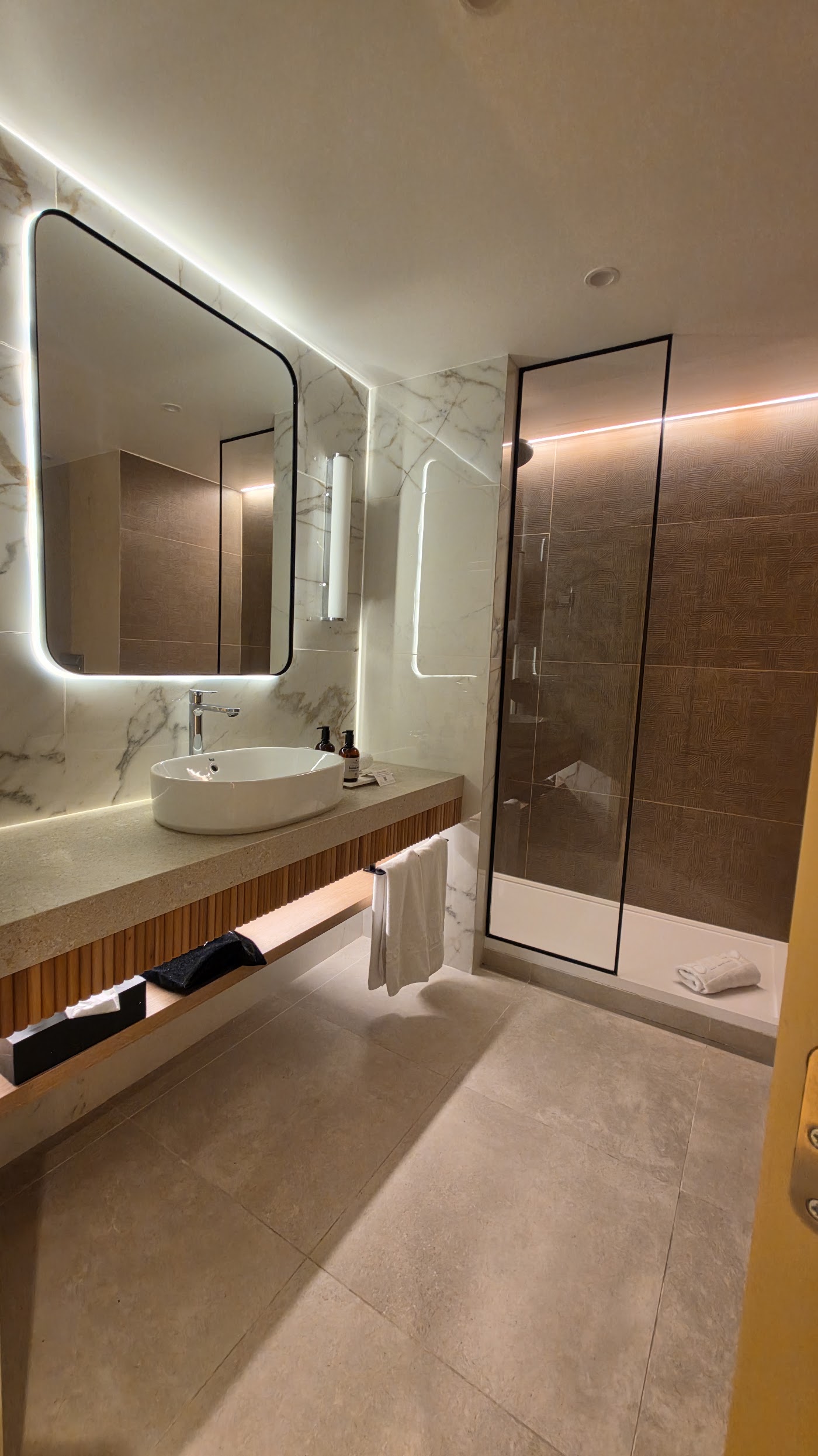 NH Collection Lisboa Liberdade, dog-friendly hotel, photo 4